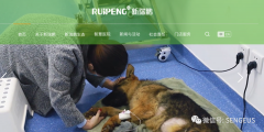 打造中国宠物医疗上市第一股，新瑞鹏拟纳斯达克IPO
