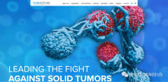 如何用病毒打败癌症，还能在纳斯达克赚大钱的生物药业公司-Turnstone Biologics